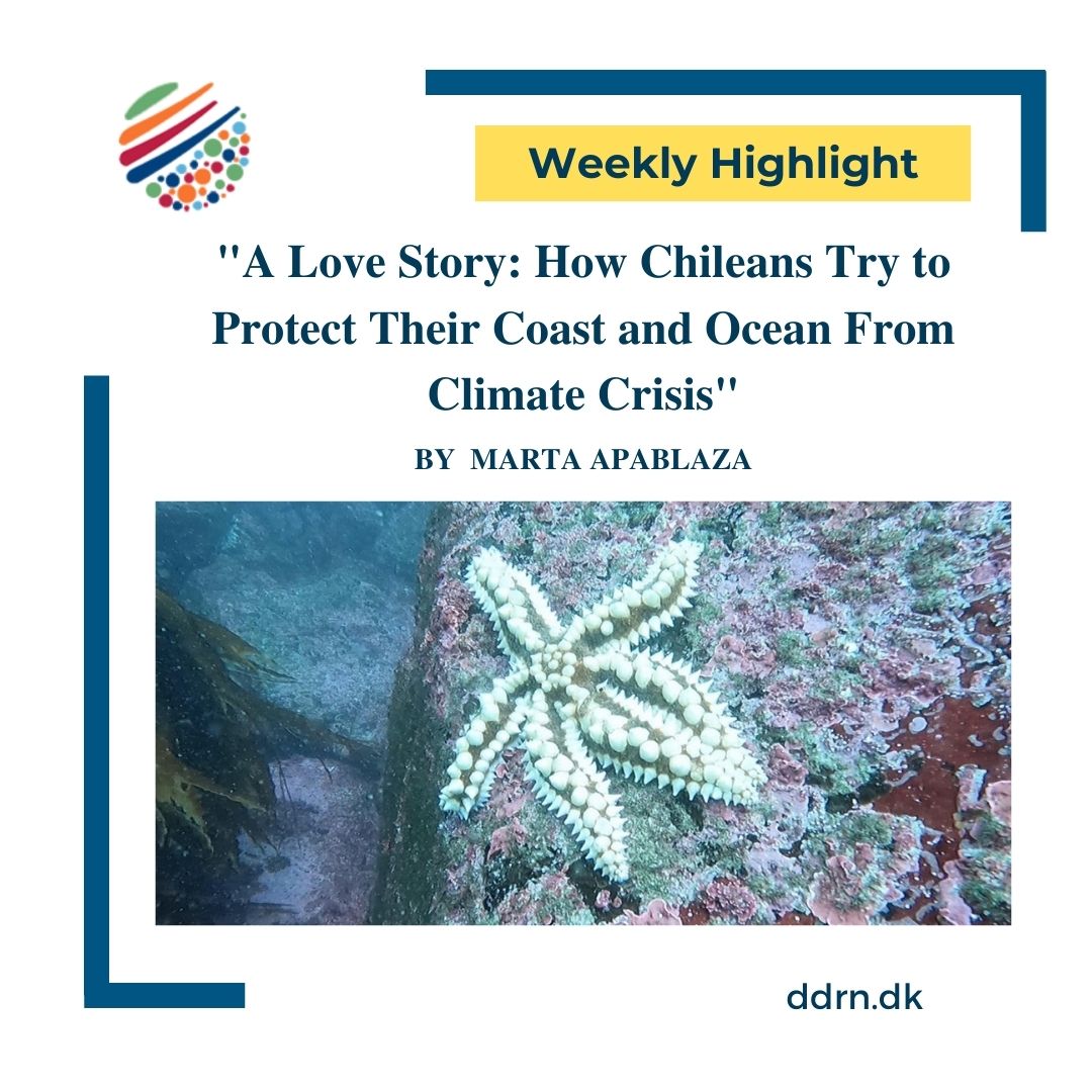 Danish Development Research Network tweet media