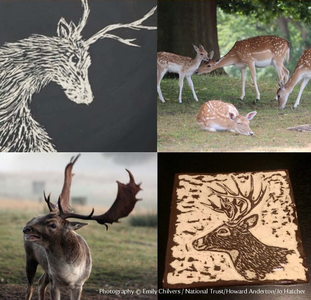 KnoleNT's tweet image. Ceramic workshop at Knole | Wed 18 Oct | 10.30am-1pm | £55 pp
nationaltrust.org.uk/knole
Join potter Emily Chilvers to create your own deer-themed plate or plaque. No experience needed - just come &amp;amp; get creative!

#ceramicworkshop #emilychilvers #makingwithemily #sevenoaksevents