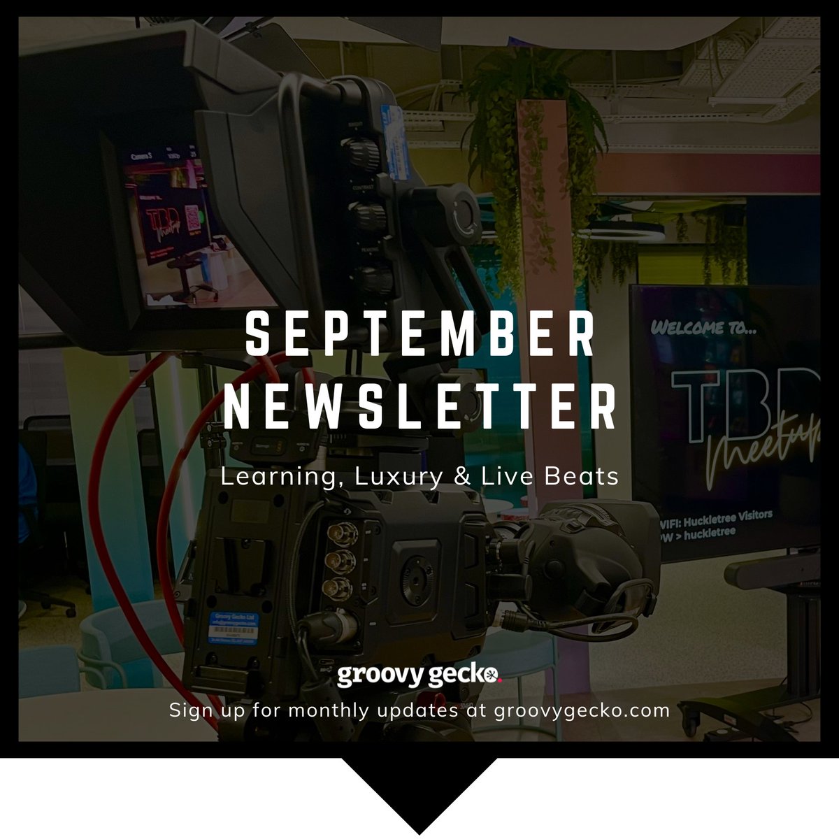 🎥 September's stories: Academic insights, Channel 4 chats, musical peaks &amp; more! Dive into Groovy Gecko's standout projects and peek at our October line-up! 🎃 #GroovyHighlights groovygecko.com/case-studies/