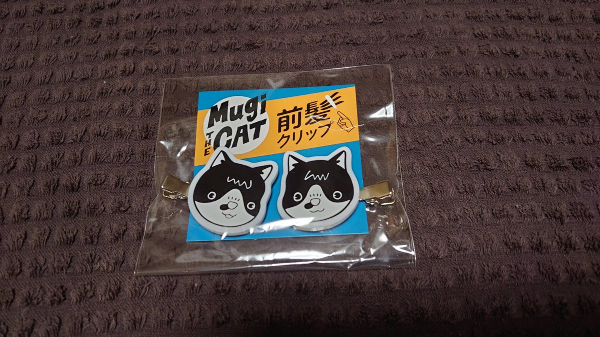 WFdayan13HANABI's tweet photo. 来た来たぁ👏👏👏
隣市のセブンへおむかえに行ってきました〜♪
ミニのぼりは職場で私の事務部屋に
こっそり目立つところに飾ります🚩
前髪クリップでハチワレスタイルにします八👀
#お祭り気分で飾っチャオ
#ミニのぼり
#前髪クリップ
#ハチワレ
#むぎ猫
#むぎかっこ猫
#MugiTHECAT https://t.co/2pJOEtkAyH