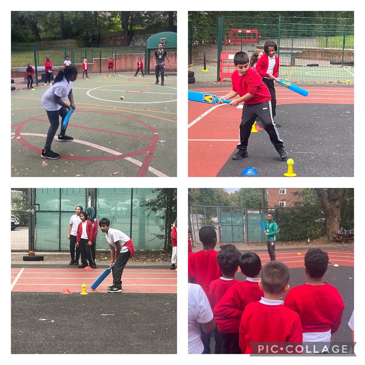 Cardwell Primary tweet media