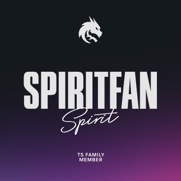 Team Spirit CS2 tweet media