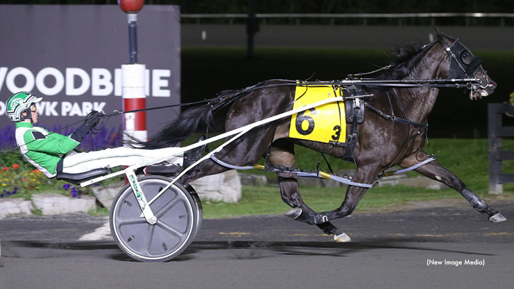 Sophomore pacing fillies faced the gate for the final Ontario Sires Stakes Gold leg on Thursday, Sept. 28 at Woodbine Mohawk Park, with Momentary Control (pictured) and One Last Wish posting identical win times → bit.ly/48C3Cj9 #harnessracing