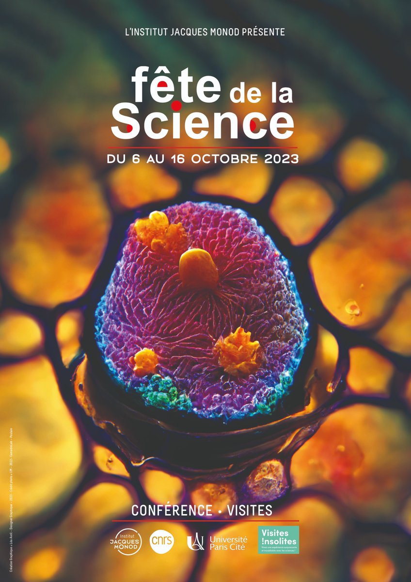 #FDS2023 🔬 L’Institut Jacques Monod ouvrira ses portes du 6 au 16 octobre 2023 à l’occasion de la 32e édition de la Fête de la Science ! ⬇️Plus d'informations & programme ijm.fr/fete-de-la-sci…