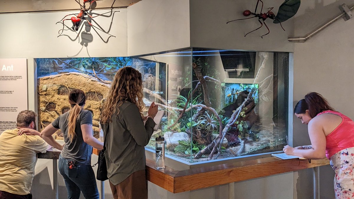 CincinnatiZoo's tweet photo. Have you been thinking about earning your master’s degree? Do you have an interest in conservation, science, inquiry, &amp; community? You can earn your MA or MAT in Biology in the Advanced Inquiry Program. Join the AIP family and apply by February 28! https://t.co/3MGDdzY2FR https://t.co/TNTUBm8YfJ
