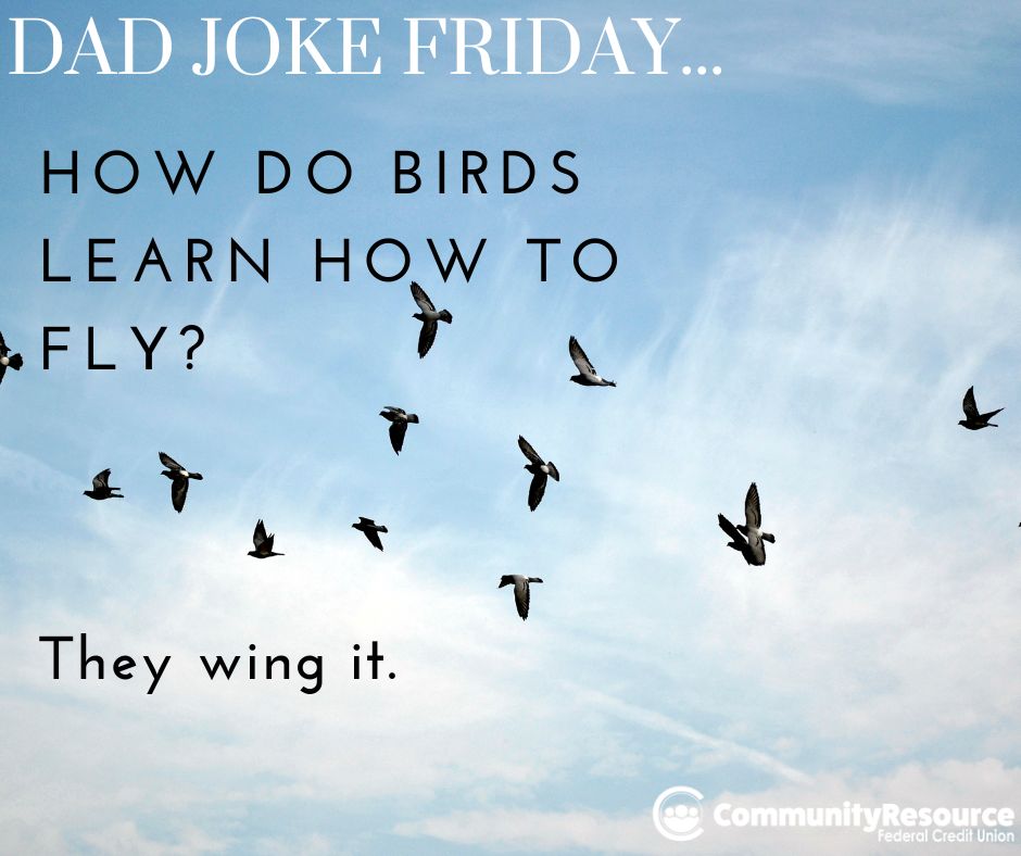 Just like birds, we know you might be "winging it" when it comes to your finances. When you bank with CRFCU, we've got your financial journey covered with expert guidance and less flapping around! Join us and soar to financial relief. 💸✨ Find out more: ow.ly/zLFK50PR5NA