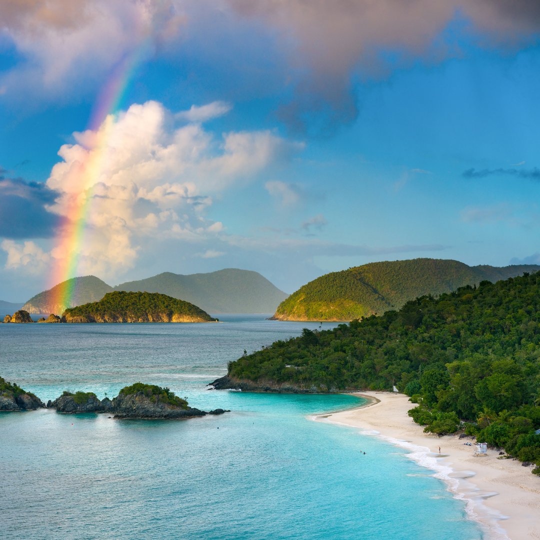 USVItourism's tweet photo. Ready to relax? St. John's Trunk Bay in the #USVI is an absolute must-see—it's no wonder it landed on @TravelPulse’s list of The Caribbean's Bucket List Beaches!​ 🏖️🌴☀️​
​
See the complete list: https://t.co/IQjtUWyfcr
​
#USVirginIslands #NaturallyInRhythm #VisitUSVI https://t.co/zcNZ3KaCMX