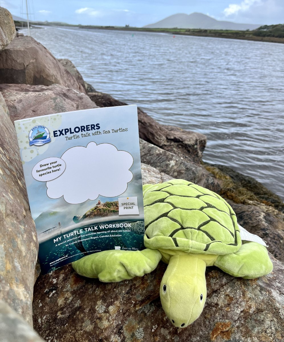 sea_synergy's tweet photo. The new @explorersedu Turtle module for schools has landed on the shores of #Kerry!
To Book contact us at #SeaSynergy:

Email: info@seasynergy.org
Call: 087 4554034

#ExplorersEducationProgramme #marineinstituteireland #keepexploring #nationalschoolskerry #turtletalks https://t.co/hulkkK7x4l