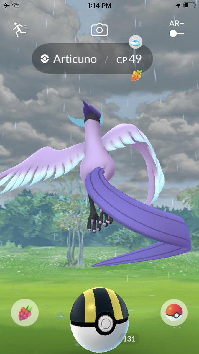 siamcai's tweet photo. Did I catch it? 🤔

#pogo #pokemongo #articuno #galarianbirds https://t.co/jycgnH5luz
