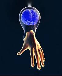 <a href="/johnkarborn/">KARBORN.eth</a> Anemale's hand and brain greet you with a gm