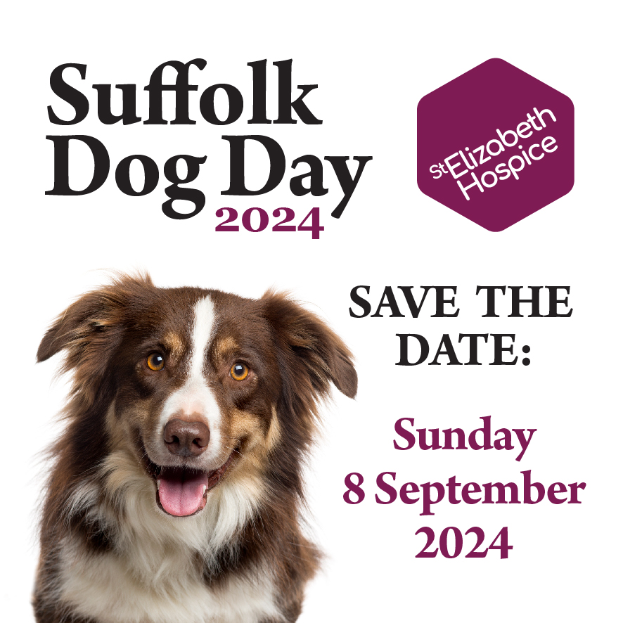 National Golden Retriever Day 2025 Dates Uk