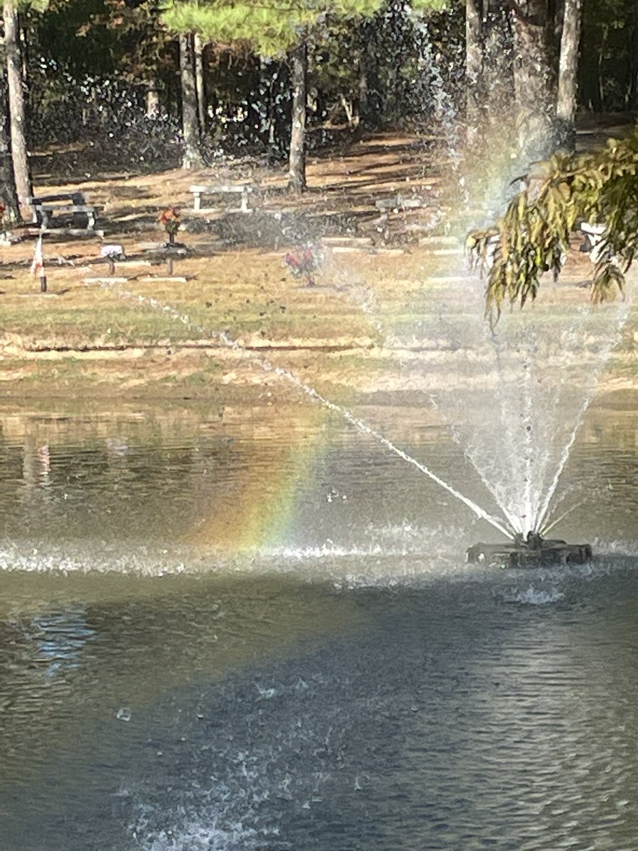 Turned around one last time before leaving the cemetery and had this little moment with Campbell. 🌈