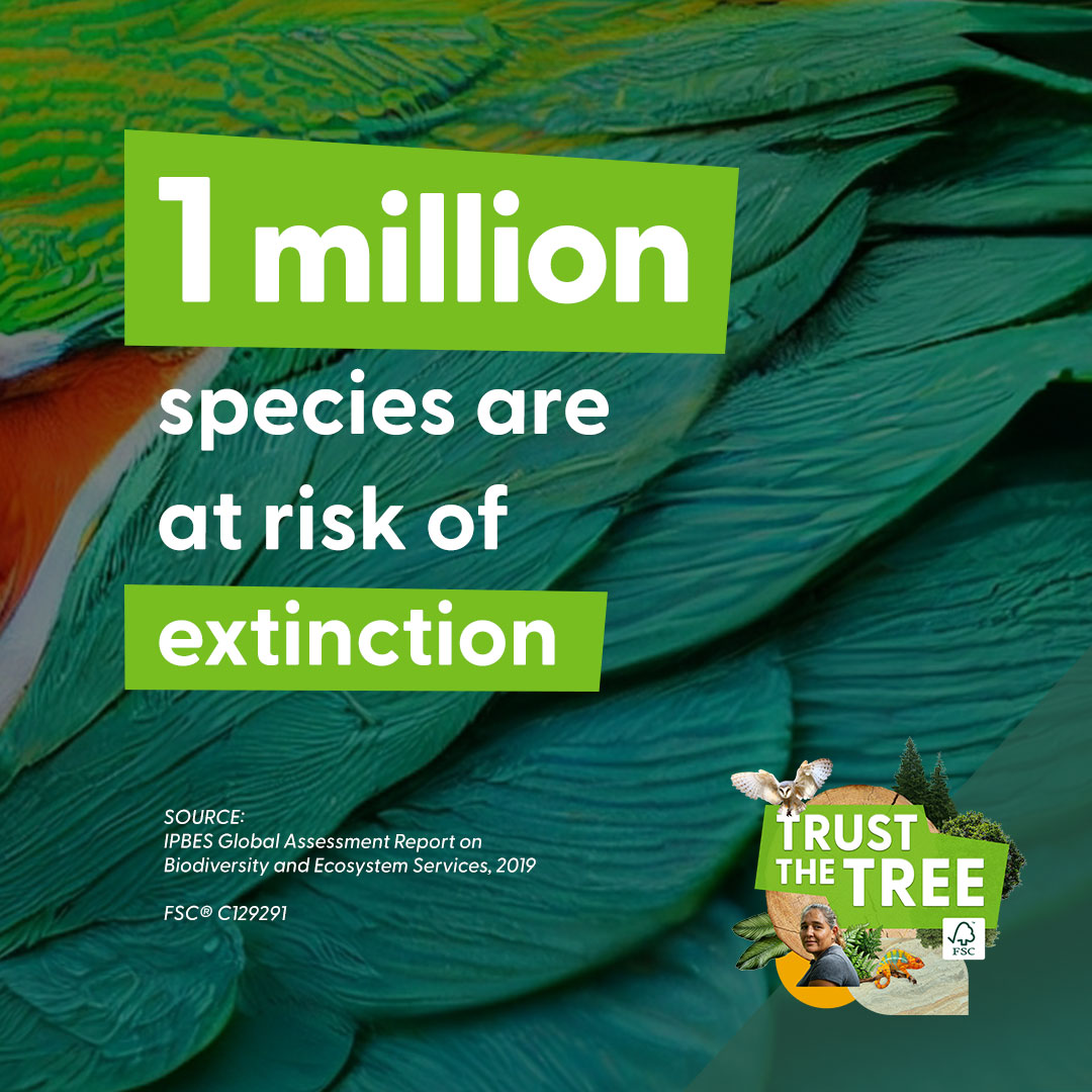 CarltonPack1's tweet image. Did you know that 1 million species are at risk of extinction? By becoming a forest steward like us this #FSCForestWeek, we can work together to preserve more forests and tackle climate change. Find out more here: fsc.org/forestweek

#TrustTheTree