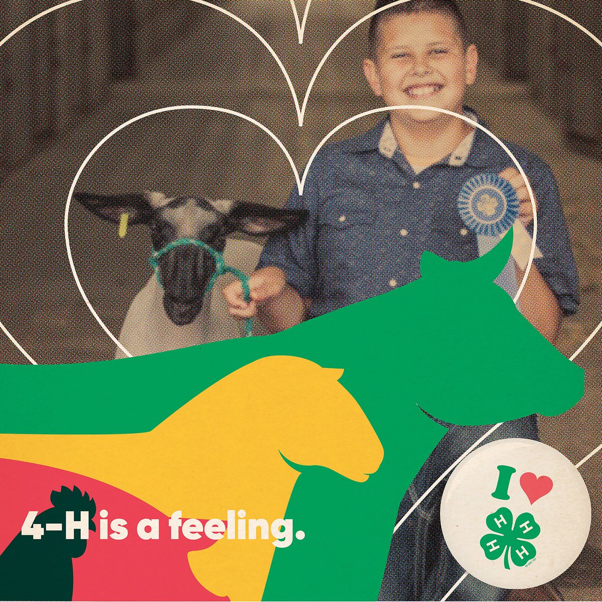 CountyFillmore's tweet image. It’s easy to get wrapped up in ribbons and trophies during the summer months, but 4-H is about so much more than that. 4-H is a community. It provides young people a place to feel valued, heard, and connected. We’re celebrating all this and more during National 4-H Week.