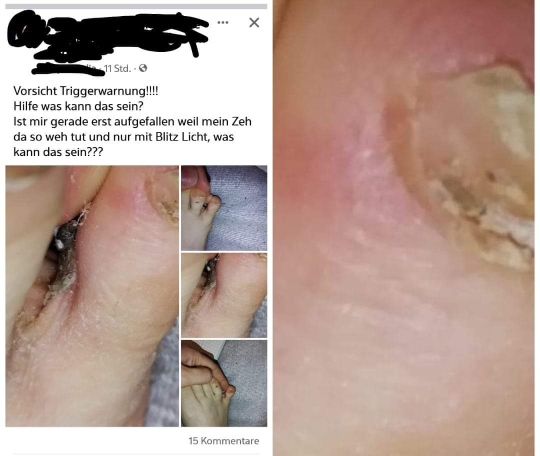 Reichsflugscheiben Flugschule Neuschwabenland e.V. tweet media