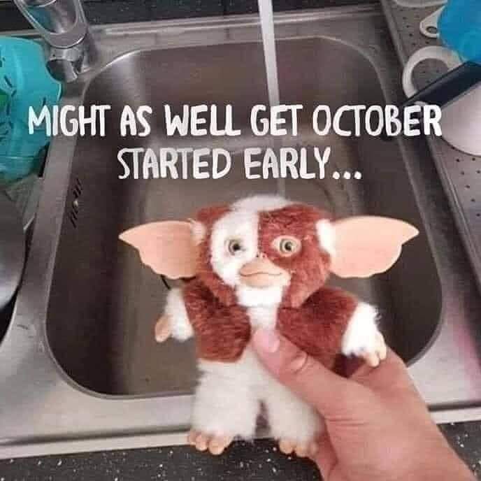 sunny_joni's tweet image. 🤭😹🙈 #AlmostOctober