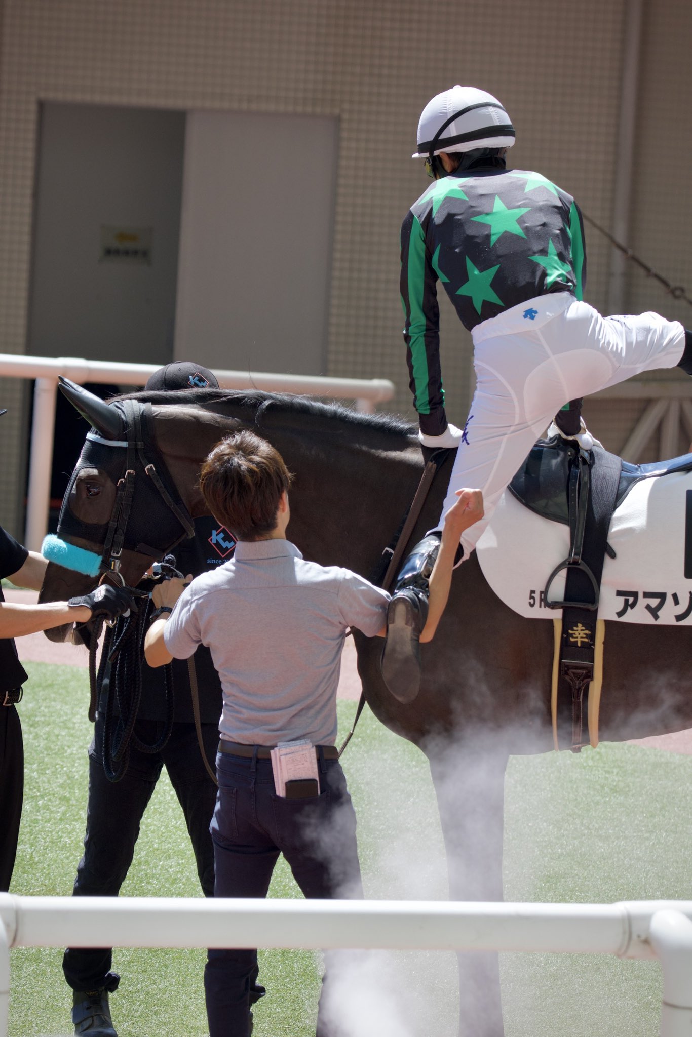 アマゾネス - Search / X