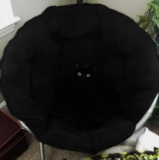 DontShowYourCat's tweet photo. supermassive black hole https://t.co/asmb713hAc