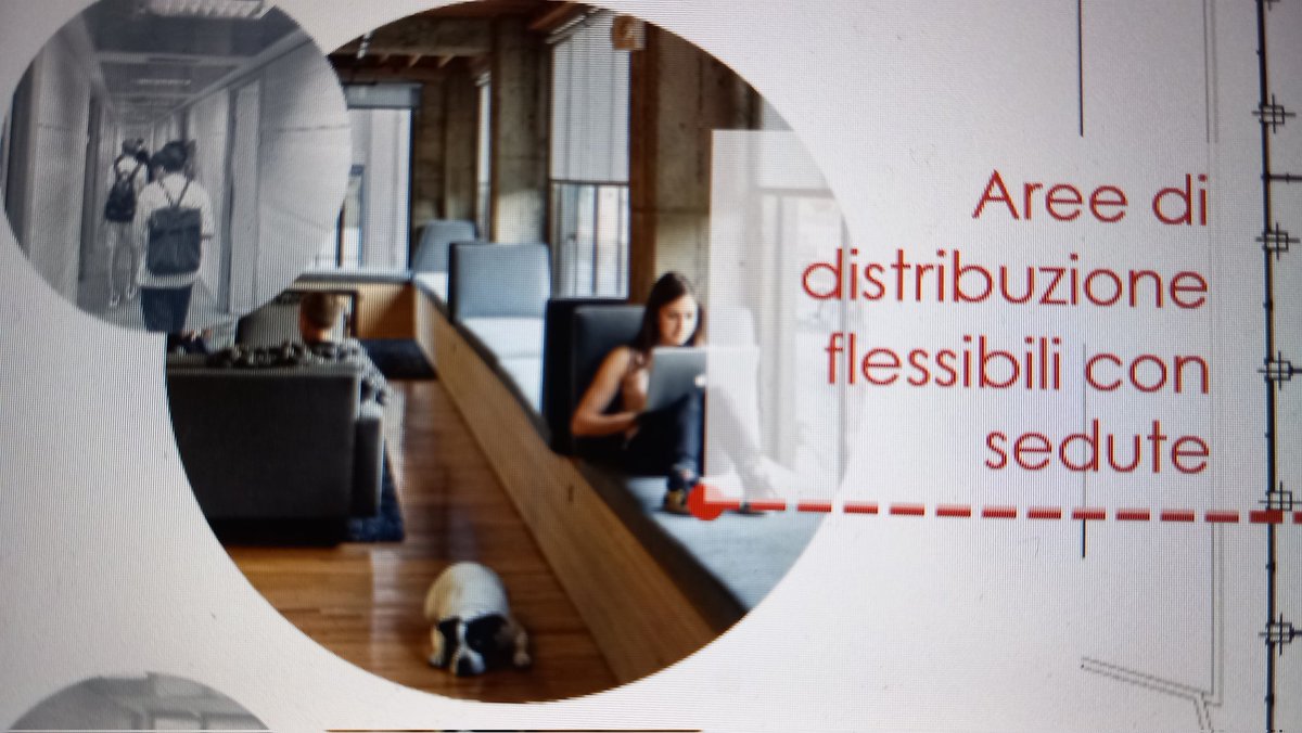 Ilaria Mariotti tweet media