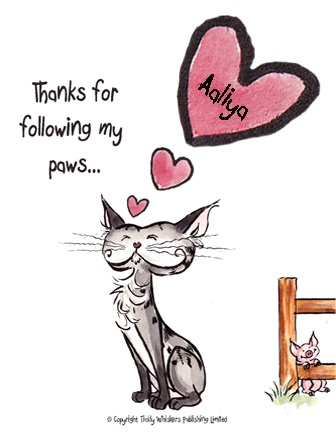 TicklyP's tweet photo. BIG purrs coming right at you Aaliya @AaliyaZahra https://t.co/J1xFuv8vqt