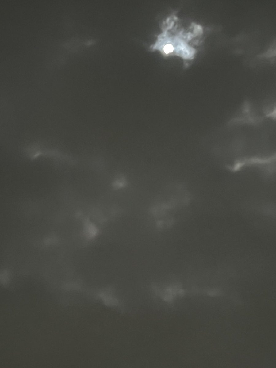 Yuni501's tweet photo. 満月🌕 https://t.co/qhiWDBRmK6