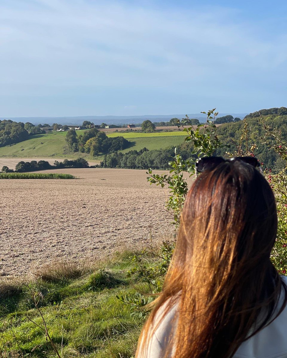 Farley Mount is a hill and one of the highest points in Hampshire and the area is ideal for taking a picnic along with its superb views. Nice walk this morning, here’s a few pics 📍 SO21 2JG #ourhampshire
