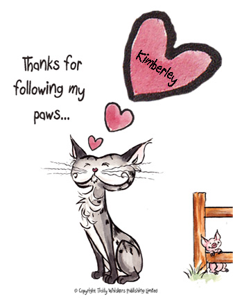 TicklyP's tweet photo. BIG purrs coming right at you Kimberley @DarseyKimb46424 https://t.co/fY7fbCdA0Z