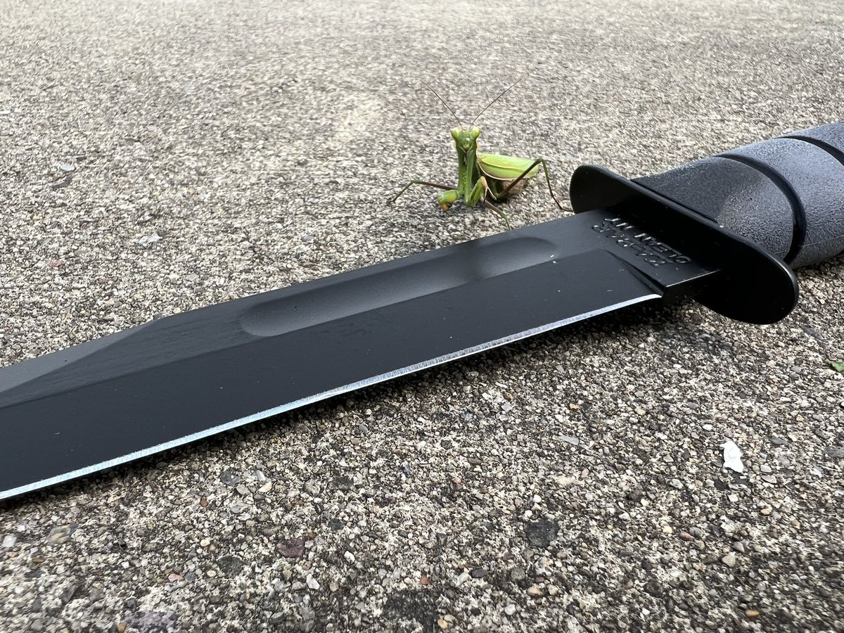 This is mine now.

#mantis #prayingmantis #blade