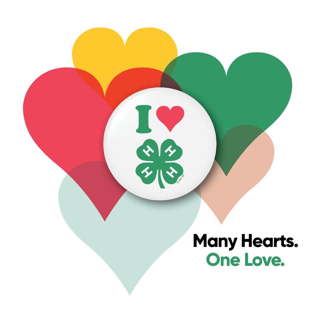 CountyFillmore's tweet image. Six million young people nationwide are learning how to be better humans through 4-H. Now that’s something worth celebrating! Happy National #4HWeek!