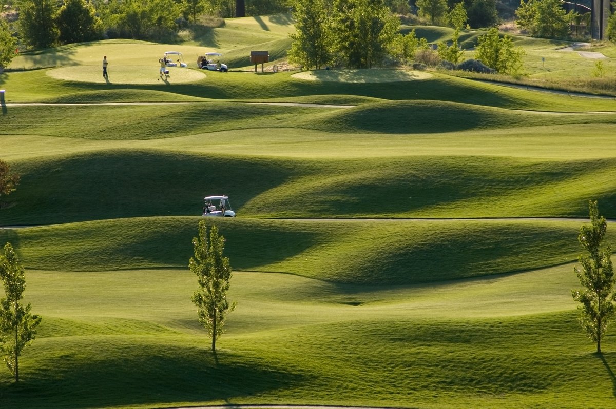OriginAmenity's tweet photo. We were delighted to see Polly Gearing's feature on how mycorrhizal fungi helps enhance #sustainability on golf courses featured in the latest issue of @thegolfbusiness!  

Thank you to @thegolfbusiness team for the coverage, click below to read online 👇

https://t.co/Du33Dl3fO1 https://t.co/q5InrjjXRg