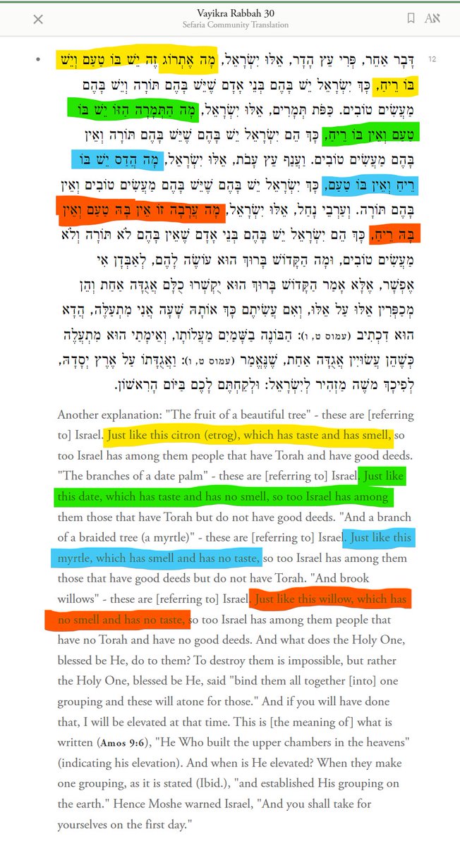 hadithworks's tweet photo. A hadith for Sukkot: https://t.co/DfVZ3fTv2S