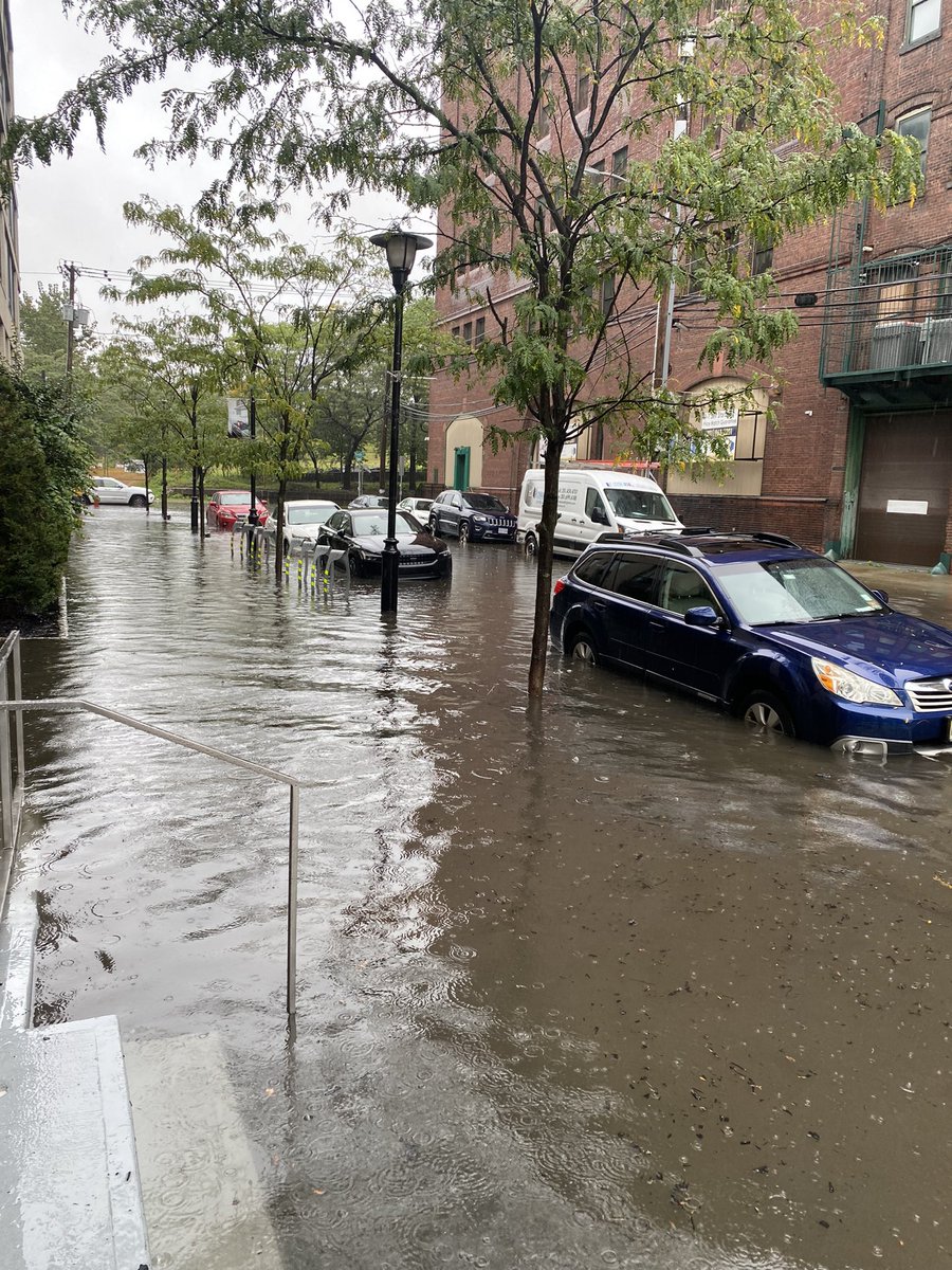 Mike Shemesh tweet media