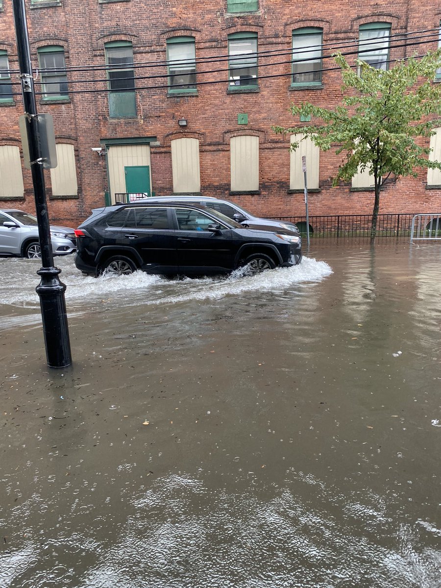 Mike Shemesh tweet media