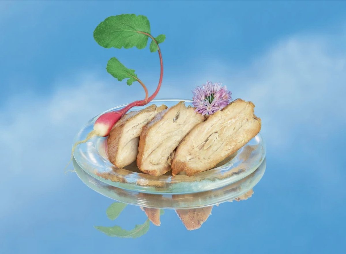 NatureBiotech's tweet photo. From air to your plate: tech startups making food from atmospheric COโ https://t.co/0BQMGlROYr https://t.co/1QKQZJeIAd