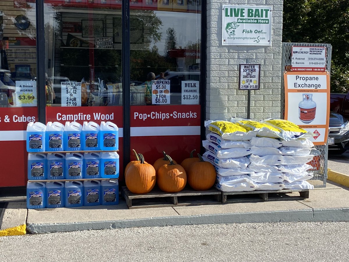 We’ve got Pumpkins!! $5 each or 2 for $8.