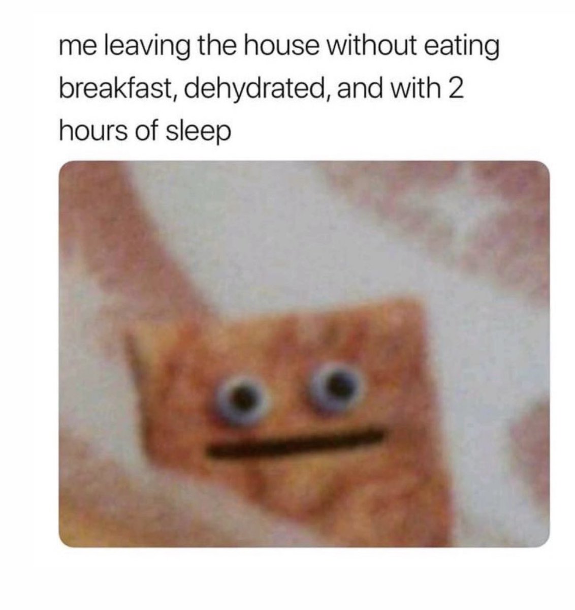 Lauren Layfield tweet media