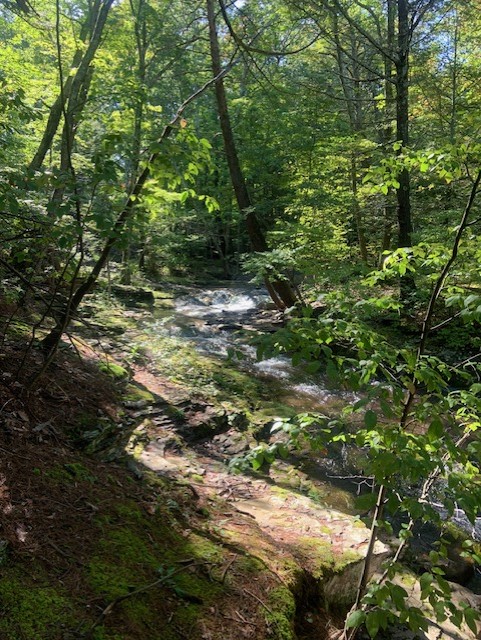 BrokerSal's tweet photo. Great time at the Winter Clove Inn in the Catskills...since 1838. #teamamirati #douglaselliman #wintercloveinn #homesforsale #Housesforsale #openhouse #homesweethome #firtstimehomebuyer  #house #realestateexpert #broker  #hbcany #centerport #huntington #harborfields #greenlawn https://t.co/yRZAOpYKNR