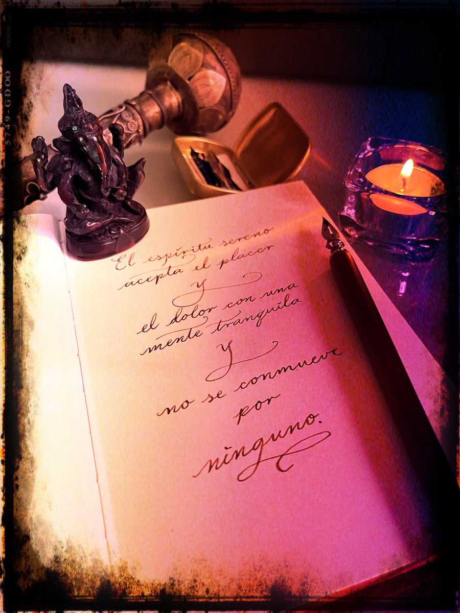 doktorfausto2's tweet image. 