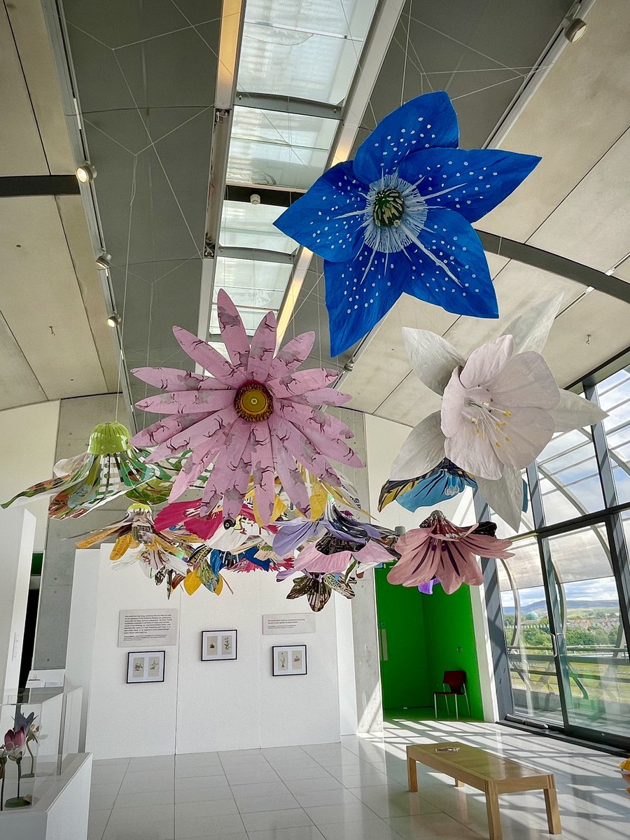 Ruth Moilliet tweet media