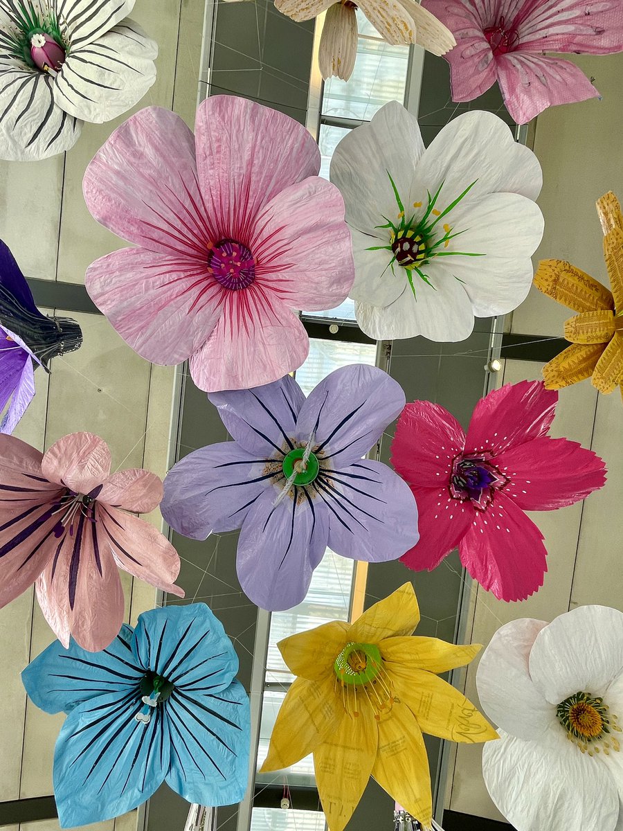 ’Devotions to the Goddess Flora’ ends on Saturday 7th October <a href="/GalleryOldham/">GalleryOldham</a>
It’s been a joy to exhibit in this calm, bright, glass walled space with fabulous views of the neighbouring sedum roof and a panorama of #Oldham and the #Pennines beyond #singleuseplastic #recycle #reuse