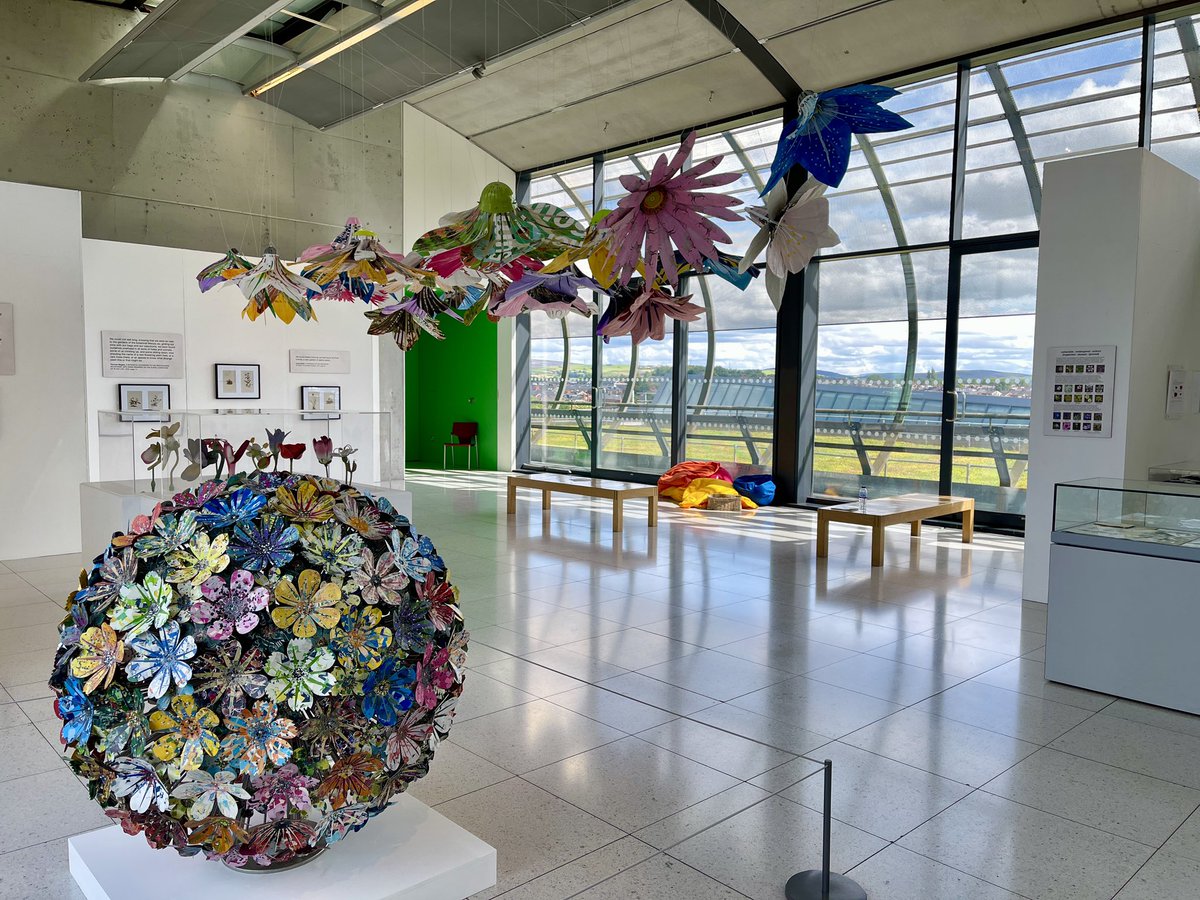 Ruth Moilliet tweet media