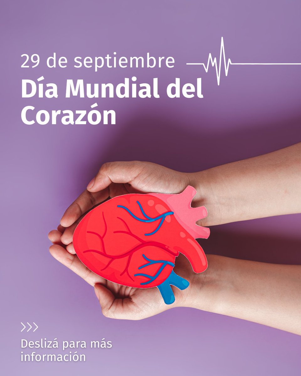 ALPI Asociación Civil tweet media