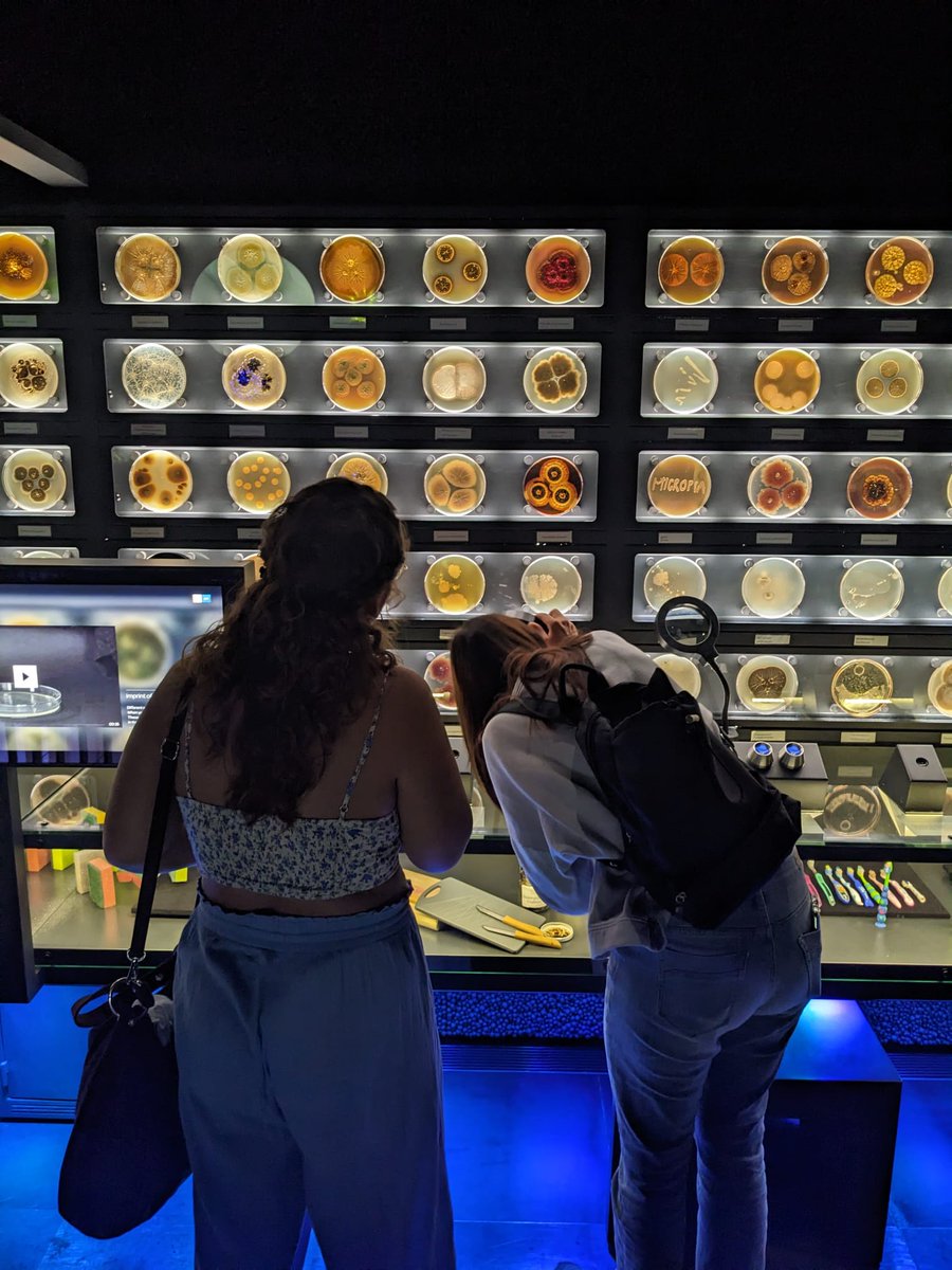 Edith J. S. Eder tweet media