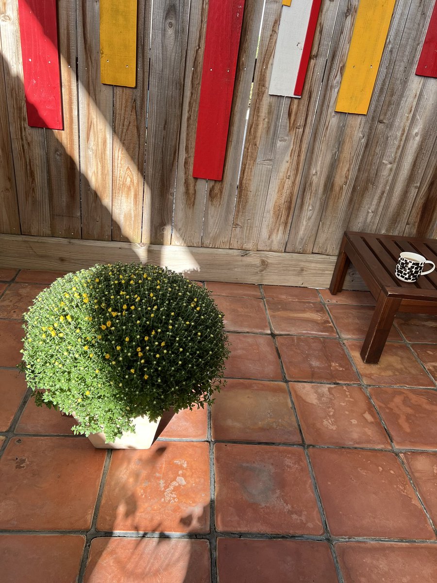 달빛과 햇빛.
추석이라고 누구를 만나러 가지도, 누군가 나를 찾지도 않는 그저 그런날이 지나갑니다. 바람이 살짝 불어오니 옆집 풍경소리가 들려 옵니다. 덥지도, 춥지도 않는 딱 살기 좋은 아침입니다. 
-휴스턴 일상-