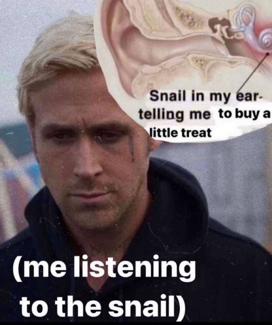 🕐HOURLY🕑 shitpost (@hourly_shitpost) on Twitter photo 