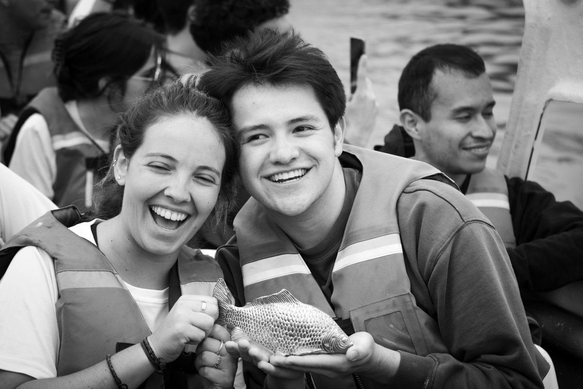 TFAS International tweet media