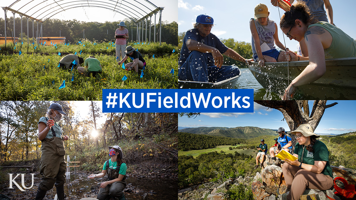 ResearchAtKU's tweet photo. Fieldwork is essential to new discoveries. @UnivOfKansas researchers gather data from rivers, prairies, glaciers, archives + more. Our #KUFieldWorks series highlights what this looks like in practice. 👇 https://t.co/V3Vra6YISV