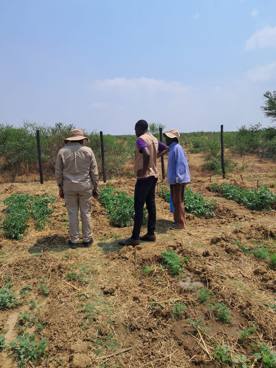 Trinity Project (@trinityproject4) on Twitter photo A visit at Vukuzenzele nutritional gardens in Umguza District. #foodsecurity. The beneficiaries create opportunities for income generation as they can sell their vegetables and improve their resilience of rural communities. #climatechange #ruraldevelopment <a href="/InfoMinZW/">Ministry of Information, Publicity & Broadcasting</a> <a href="/zet_uk/">Zimbabwe Educational Trust (ZET)</a> A visit at Vukuzenzele nutritional gardens in Umguza District. #foodsecurity. The beneficiaries create opportunities for income generation as they can sell their vegetables and improve their resilience of rural communities. #climatechange #ruraldevelopment <a href="/InfoMinZW/">Ministry of Information, Publicity & Broadcasting</a> <a href="/zet_uk/">Zimbabwe Educational Trust (ZET)</a>