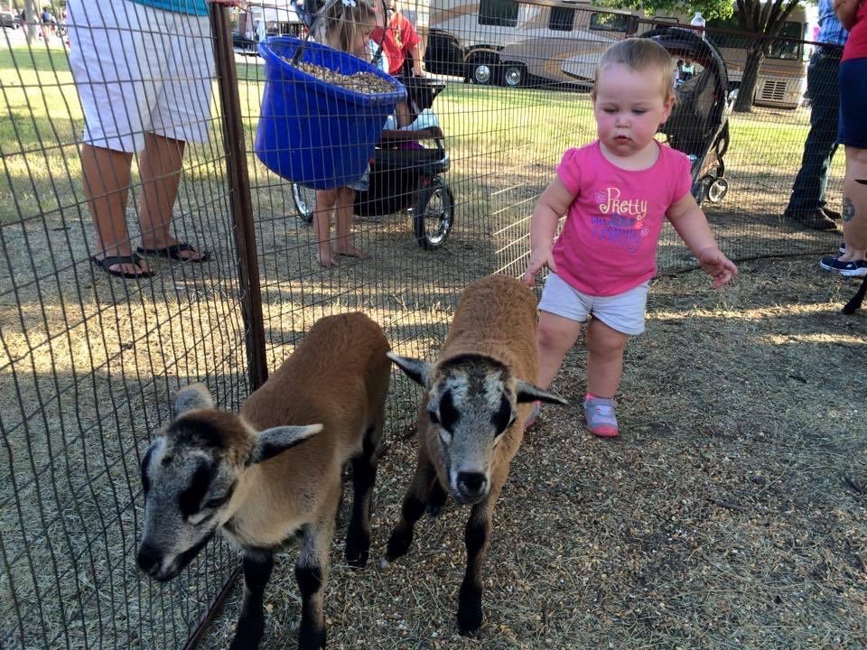 🎉Let's give a Texas-sized #THANKYOU to Burchard Abstract Company for their incredible generosity in sponsoring our petting zoo! The petting zoo will be located on Texas Hero Square during the annual Come and Take It Celebration!