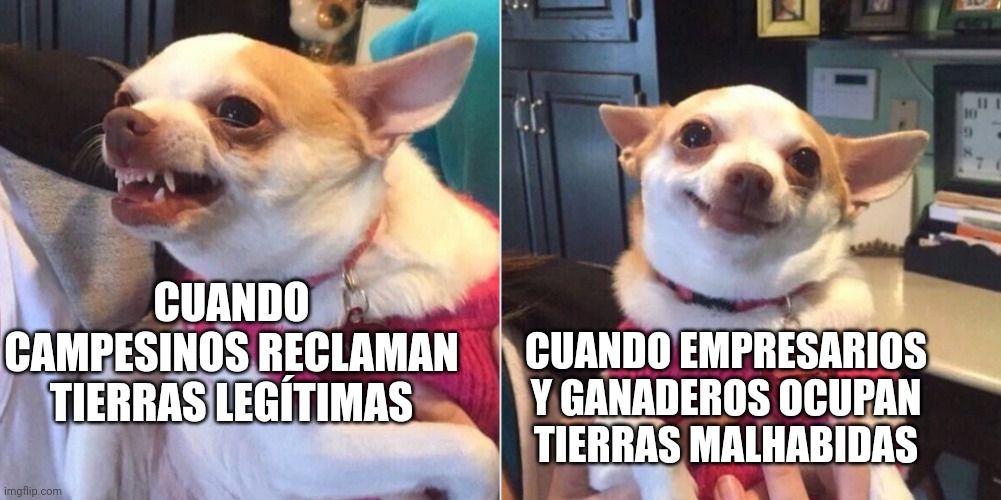 Me di cuenta de que el odio es selectivo para algunos parlamentarios, especialmente cuando hay intereses detrás 🤑